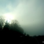 nebel in zürich
