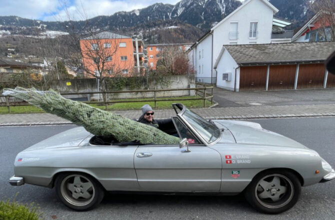Der andere Weihnachtsbaum-Transport